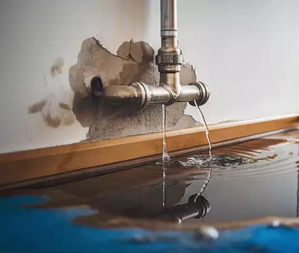Professional Water Damage Restoration Experts in McKinney, TX — Fast, Reliable & Certified