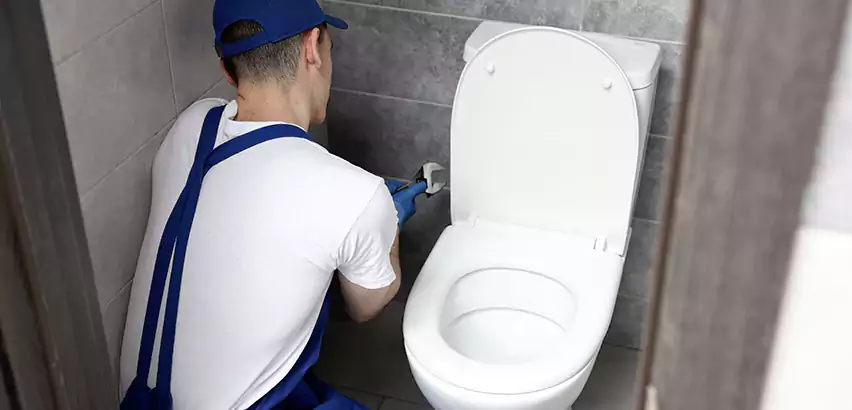 Toilet Lid Replacement in McKinney
