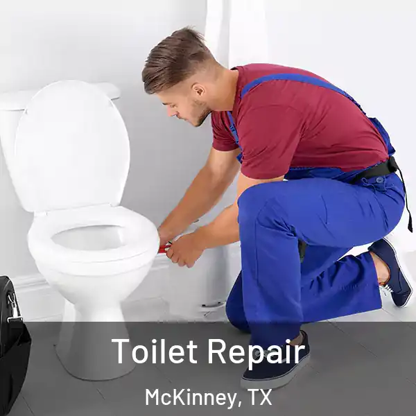  Toilet Repair McKinney, TX